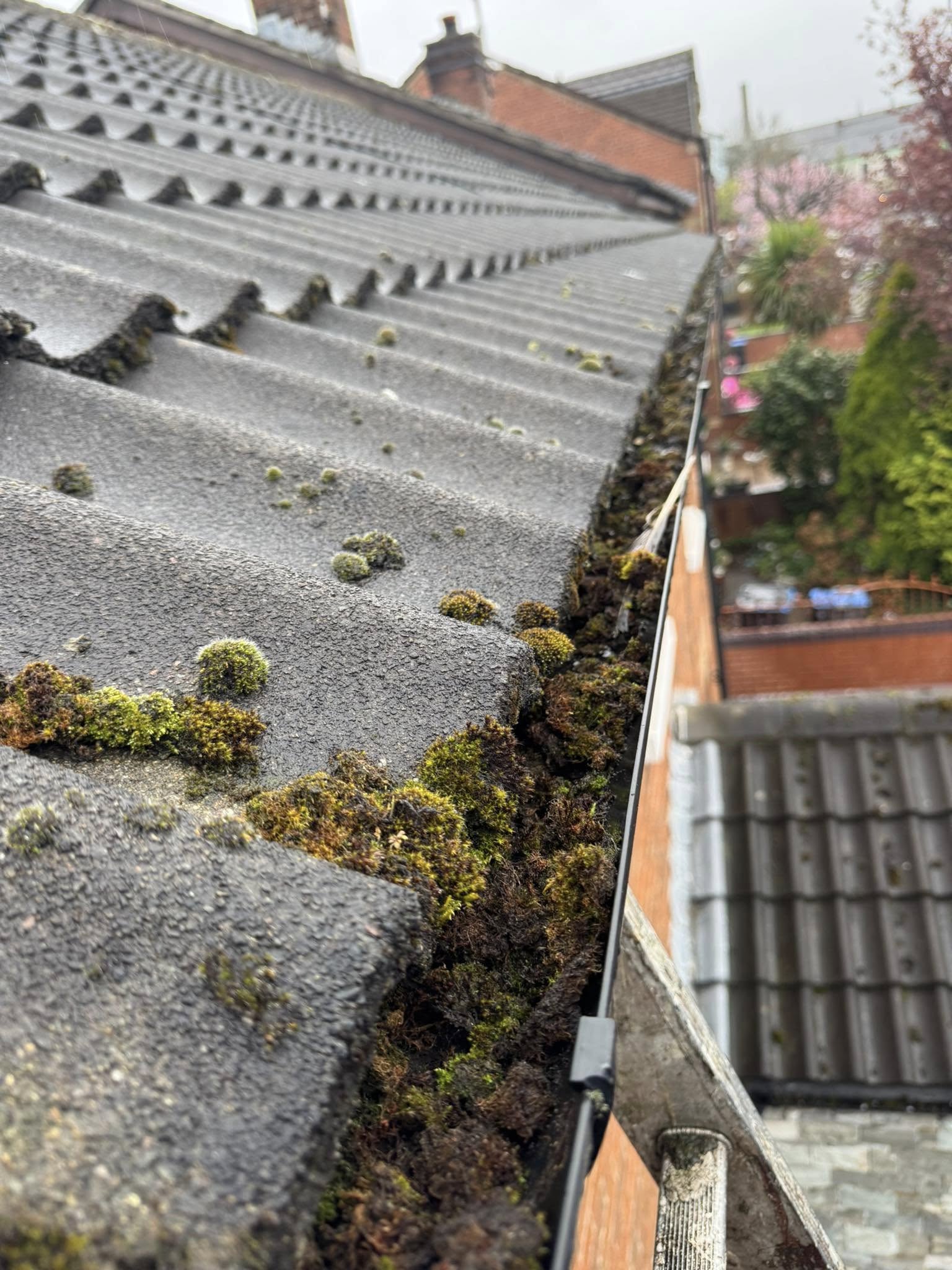 gutters filled with leaves and damp beside christmas lights ninja cleaning services ni