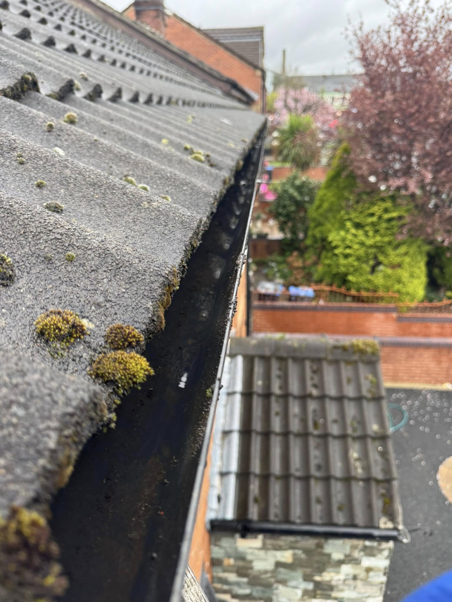 gutters cleaned drain clear ninja cleaning services ni