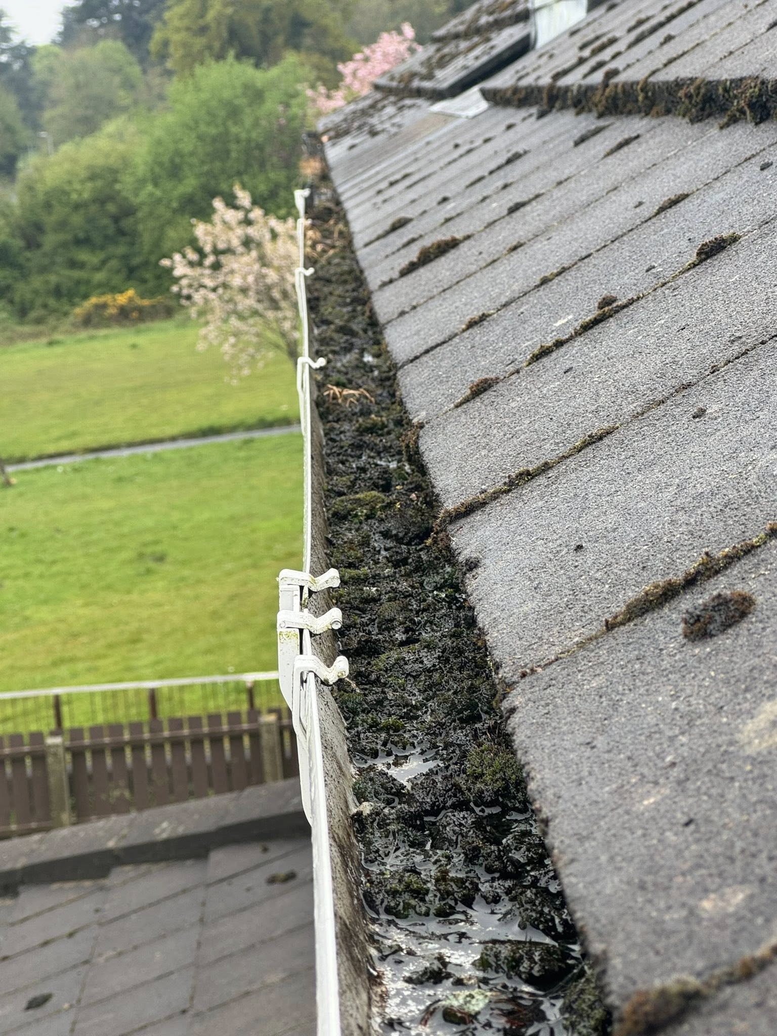 gutters filled with leaves and damp beside christmas lights ninja cleaning services ni
