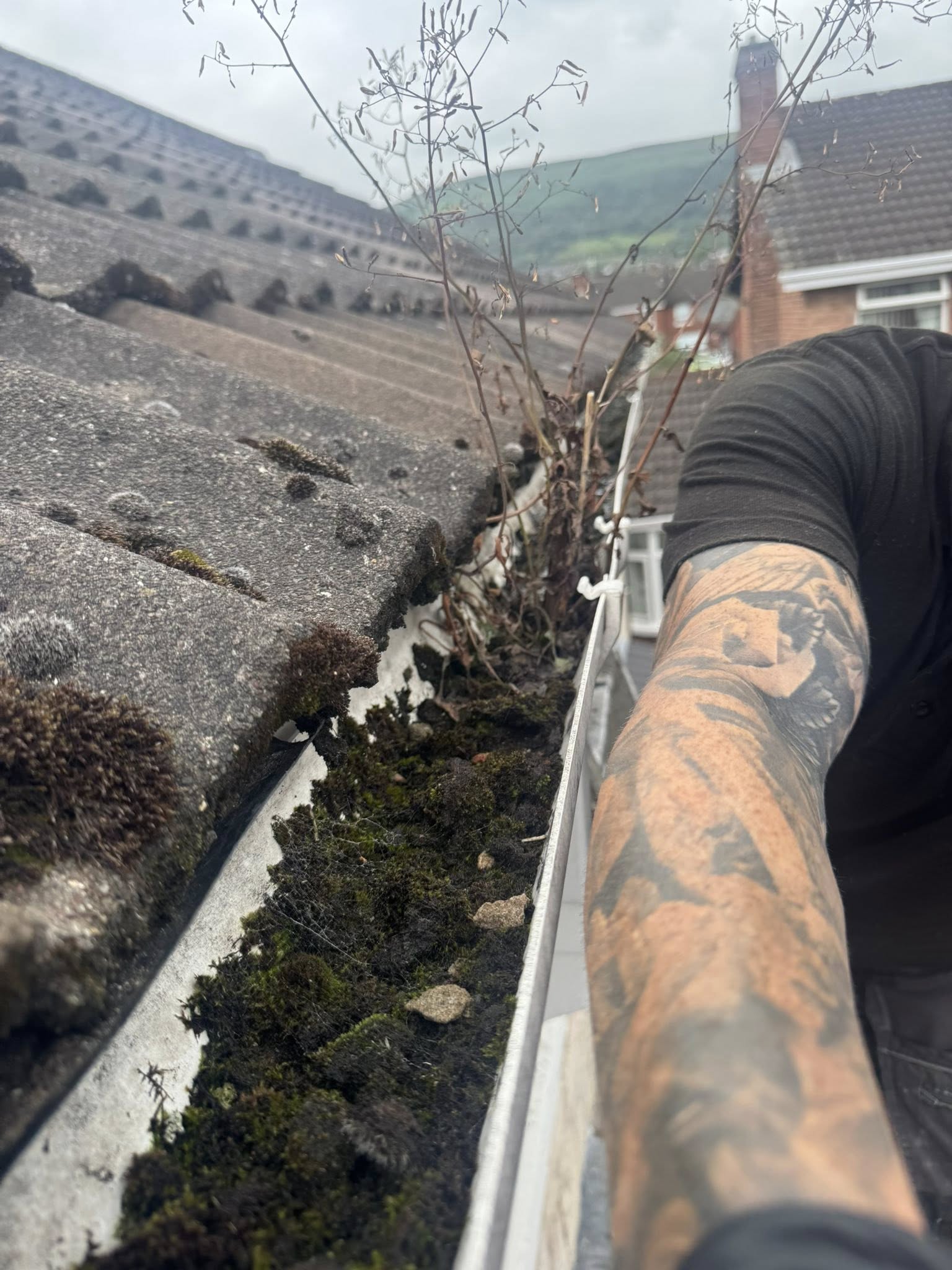 gutters filled with leaves and damp beside christmas lights ninja cleaning services ni