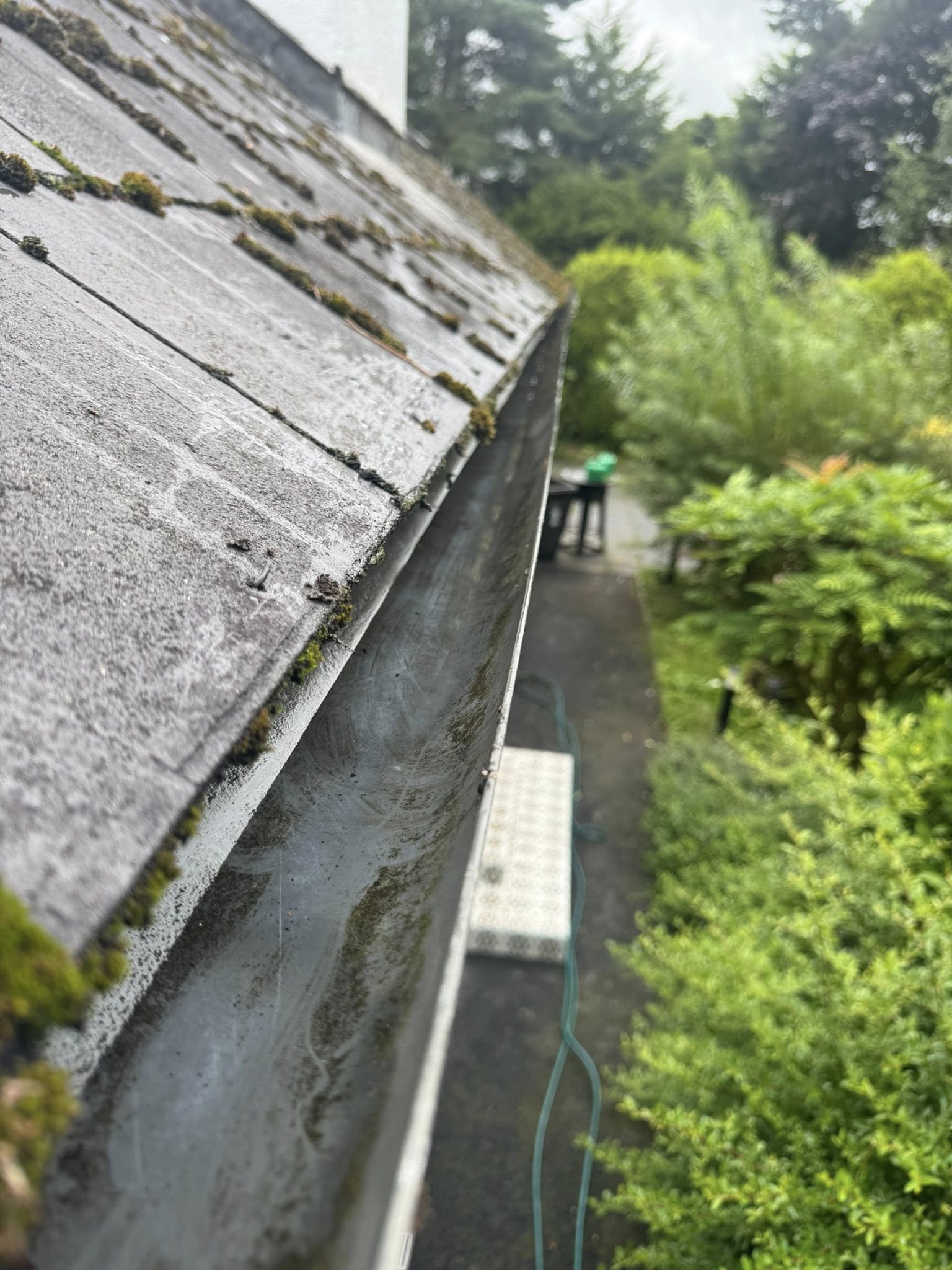 gutters cleaned drain clear ninja cleaning services ni