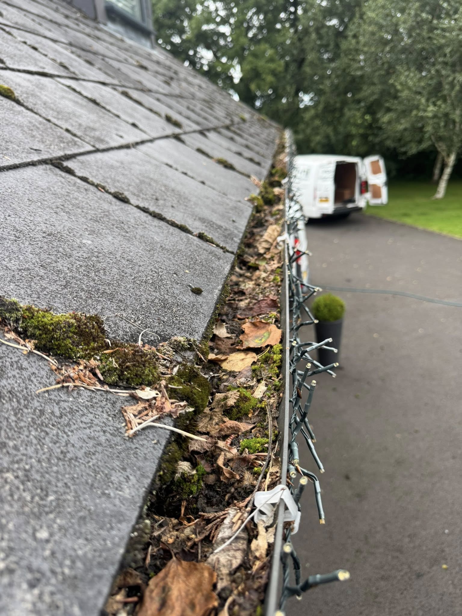 gutters filled with leaves and damp beside christmas lights ninja cleaning services ni