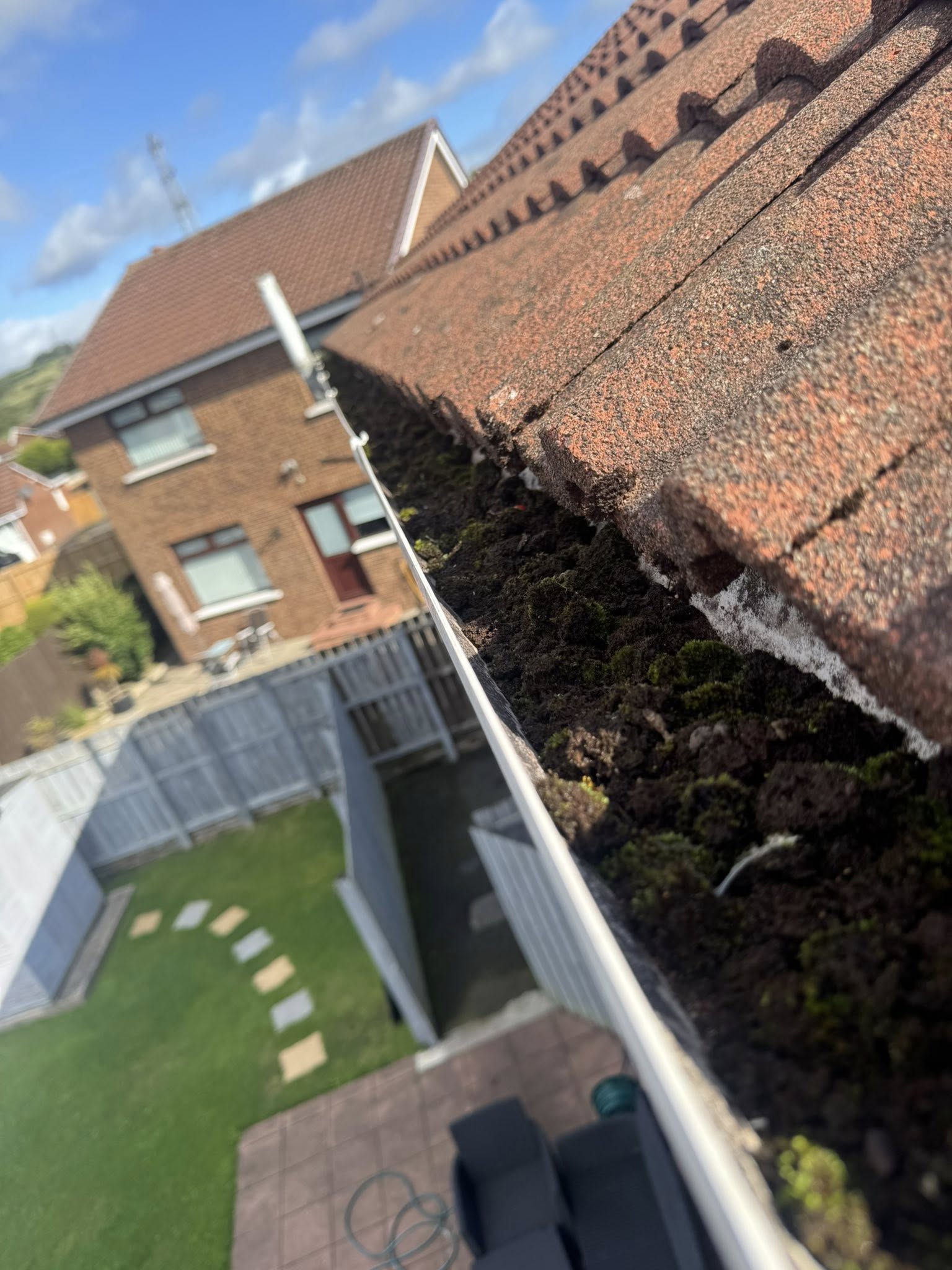 gutters filled with leaves and damp beside christmas lights ninja cleaning services ni